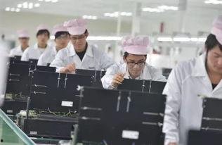 合肥创业爆料事件最新