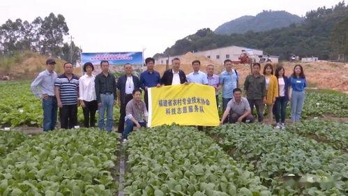 木偶师技能爆料视频大全,技能爆料视频大全精彩回顾  第2张