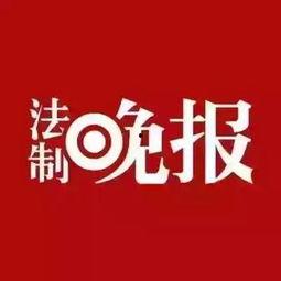山东趣事新闻爆料,趣事新闻爆料揭示民间趣味故事