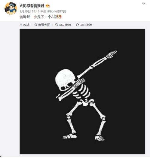 一月高招a最新爆料,独家爆料带你直击高考招生前沿”  第3张