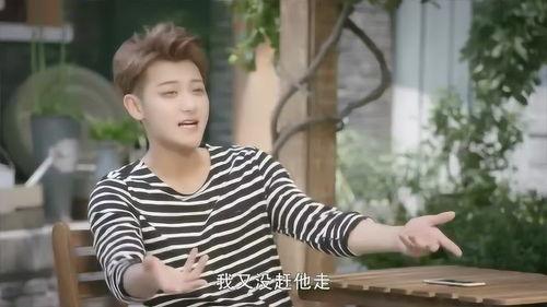 郑柏旭爆料杨真真视频,真相背后引人深思  第1张