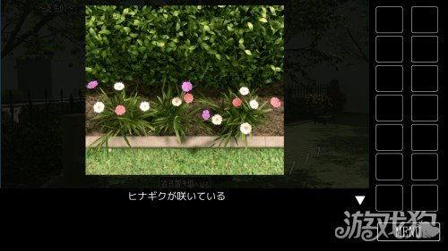密码花园在线观看,在线观看解锁数字世界的奥秘  第2张