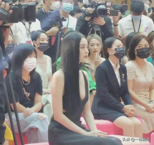 娱乐圈早期爆料事件,揭秘那些年轰动一时的幕后真相  第3张