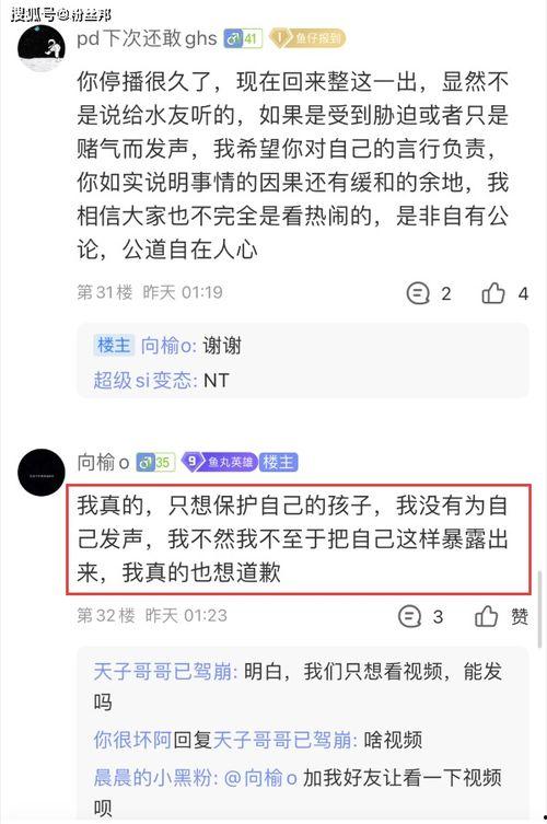 爆料已婚女主播视频,真相背后引人深思