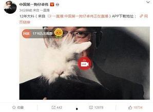 爆料泰国事件视频大全最新,揭秘惊心动魄的幕后真相  第3张