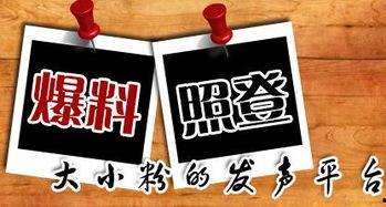 重庆市新闻爆料热线,倾听市民声音，守护城市脉搏  第2张