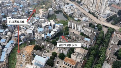 吃瓜黑网爆料最新耒阳市,吃瓜黑网爆料揭秘  第3张