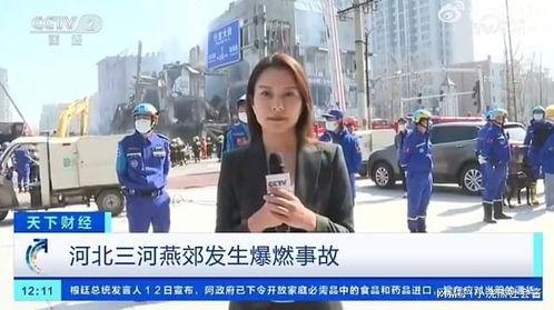 欧洲记者爆料视频大全最新,揭秘真相与幕后黑幕