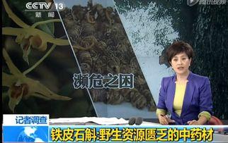 草神爆料舅舅视频大全,揭秘神秘爆料背后的故事  第2张
