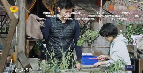 草神爆料舅舅视频大全,揭秘神秘爆料背后的故事  第3张