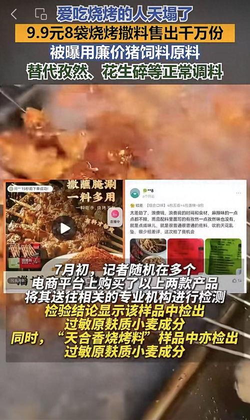 网友爆料烧烤视频大全集,网友爆料视频大全集精彩回顾