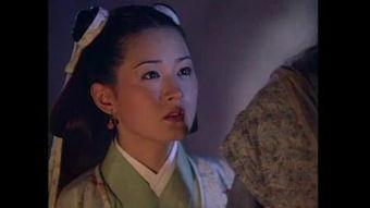 雪花神剑在线观看全集,传奇剑客的奇幻冒险之旅  第3张