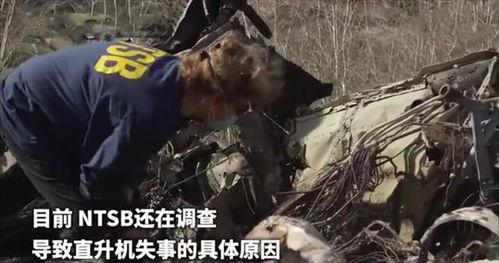 李云龙爆料粮库视频全集,粮库视频全集背后的惊人真相