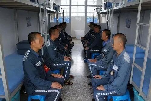 罚罪最新爆料视频大全集,揭秘剧情高潮与角色命运转折  第2张