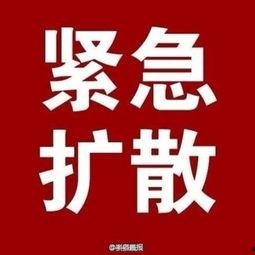 新闻大爆料最新消息,最新劲爆消息揭秘，震撼来袭！  第3张