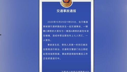 重庆爆料大足事件最新进展,揭秘真相与后续影响  第2张