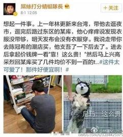 林更新 圈内爆料,揭秘娱乐圈不为人知的幕后故事  第2张