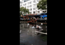 中山车祸最新爆料视频大全,现场惨状与事故原因深度解析