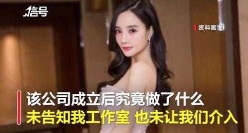 刘亦菲爆料扒叔视频,揭秘娱乐圈幕后真相  第3张