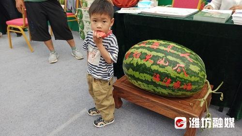 娱乐吃瓜带货,娱乐圈吃瓜达人带你解锁带货新姿势  第3张