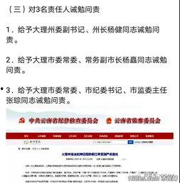 衡阳热点爆料事件始末视频,揭秘真相与反思  第3张
