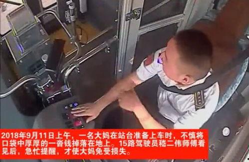 鹏哥爆料司机视频大全集,司机视频大全集深度解析  第2张
