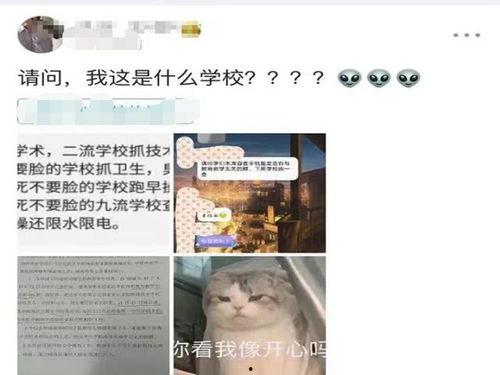 生活奇葩爆料视频大全最新,奇葩爆料视频大盘点  第2张