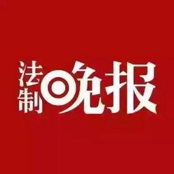 鹿泉最新爆料新闻头条号  第2张
