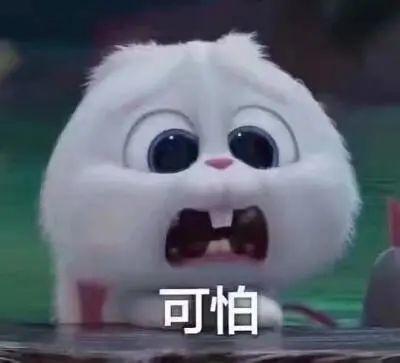 微信网红吃瓜事件真相,真相大白，网络舆论的反思  第3张