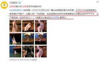 蓝姓艺人爆料视频播放网站,揭秘娱乐圈幕后真相  第3张