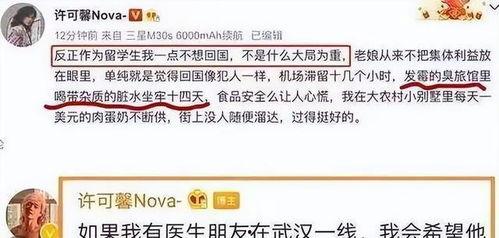 许可馨最新爆料,揭秘事件背后惊人内幕