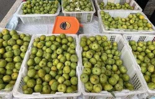 最新水果爆料,揭秘最新爆款水果榜单！”  第2张