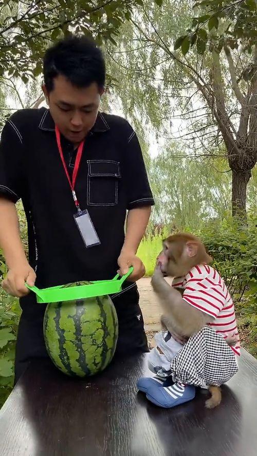 永久免费吃瓜小神器是真的吗,真相大起底！