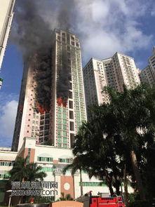 深圳爆料新闻去哪里看到,揭秘最新热点事件，尽在本期资讯汇总  第2张