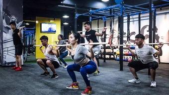 岳池健身房爆料视频,健身行业背后的惊人真相