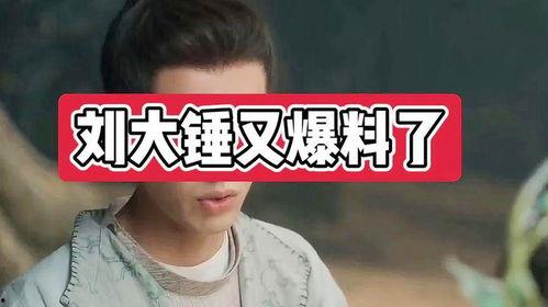 刘大锤最新爆料王子文,刘大锤独家爆料，神秘男友身份引热议  第3张