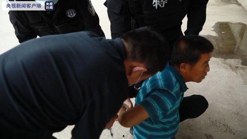 潍坊爆料偷东西事件最新,惊现深夜偷盗事件，警方全力追查真相  第2张