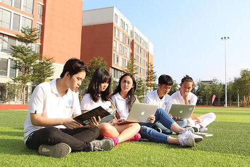 私立校园在线观看,在线观看解锁青春秘境