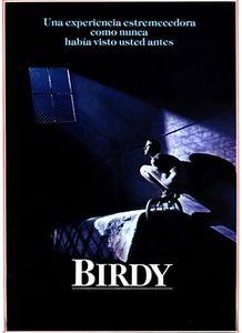 鸟人 在线观看,在线观看，探索飞翔的奥秘与激情  第2张