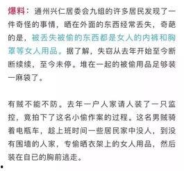 爆料变态偷东西视频,变态偷窃狂魔作案瞬间，监控视频揭露惊人真相  第2张