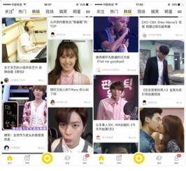 韩娱资讯最新爆料视频,最新爆料视频深度解析，明星幕后故事大公开！”