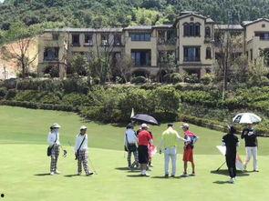 安吉最新爆料,揭秘娱乐圈幕后真相  第2张