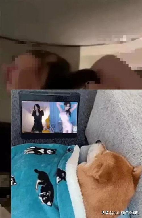 唐山爆料小伙视频最新一期,揭秘事件背后惊人真相  第3张