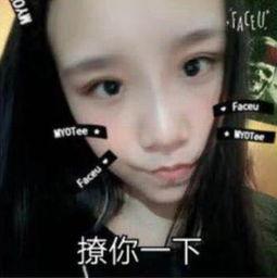 席鑫网友爆料视频大全最新,揭秘网络热点背后的真相  第2张