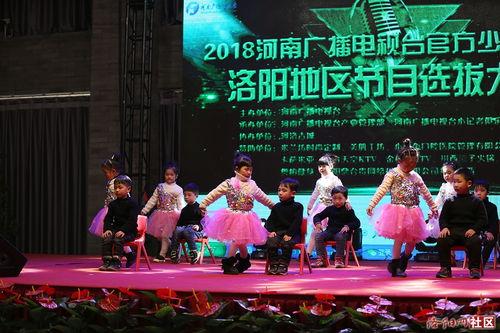 河南新闻节目爆料电话,揭开真相的神秘之门  第3张