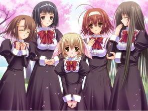 三少爆料动漫视频下载  第3张