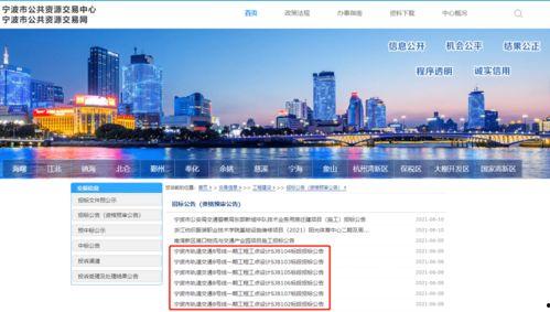 宁波新公司爆料信息最新,创新项目引领行业新风向