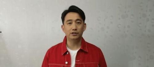 圈内人爆料黄磊,揭秘娱乐圈不为人知的幕后故事  第3张